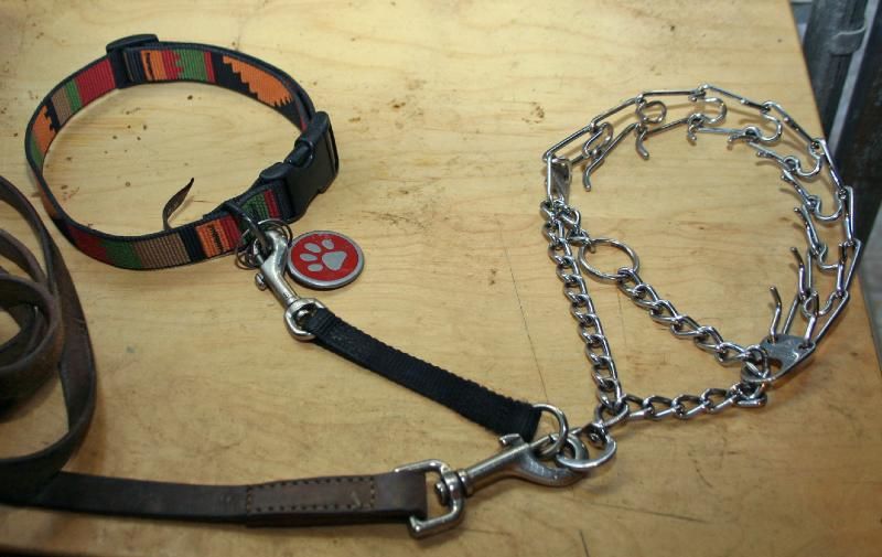 introducing a prong collar? any advice? Page 4 German Shepherd Dog